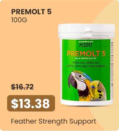 Große Ersparnis – 13,38 $ – Feather Strength Support