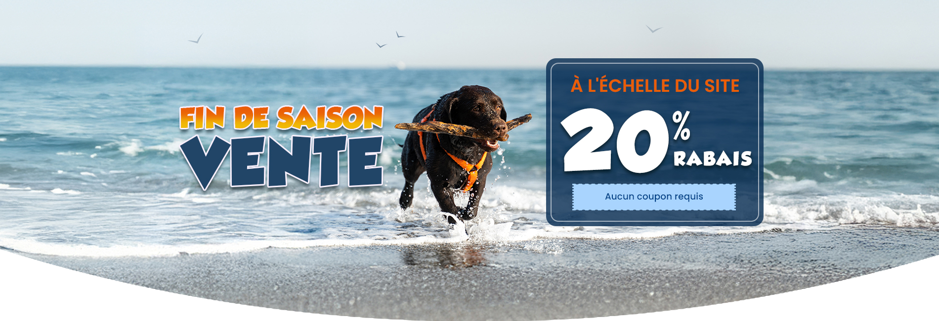 Sale Banner