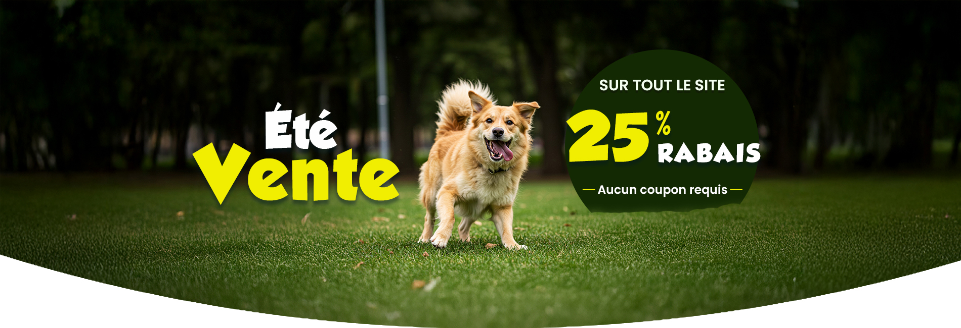 Sale Banner