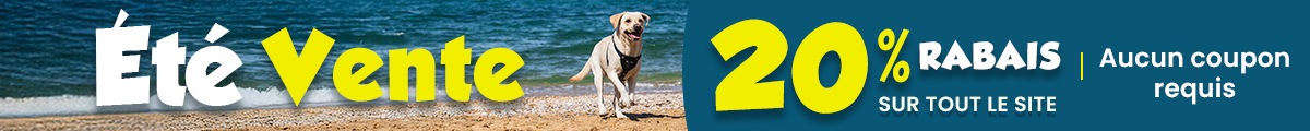 Sale Banner