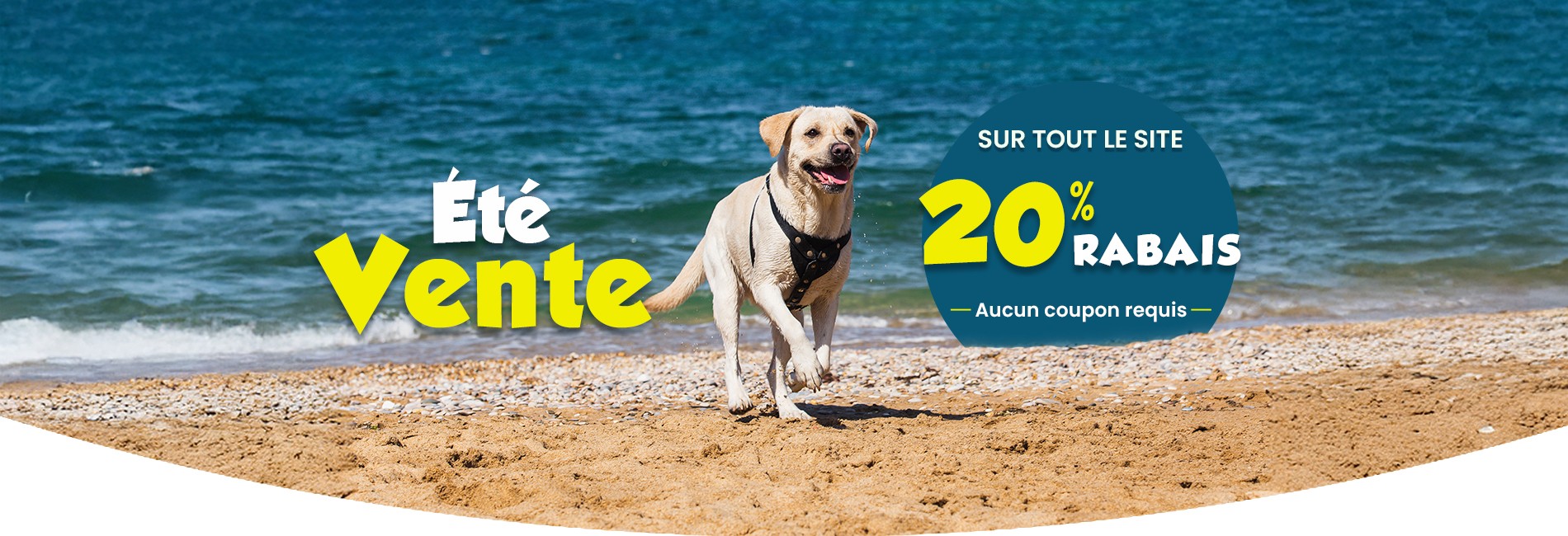Sale Banner