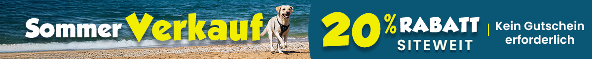 Sale Banner