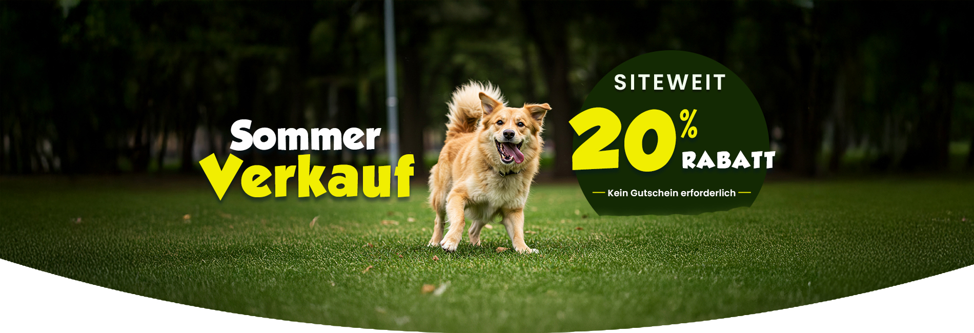 Sale Banner