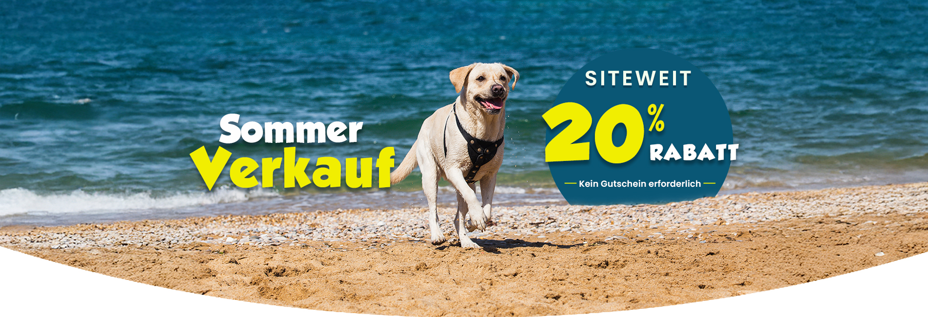 Sale Banner
