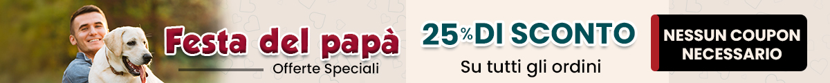 Sale Banner
