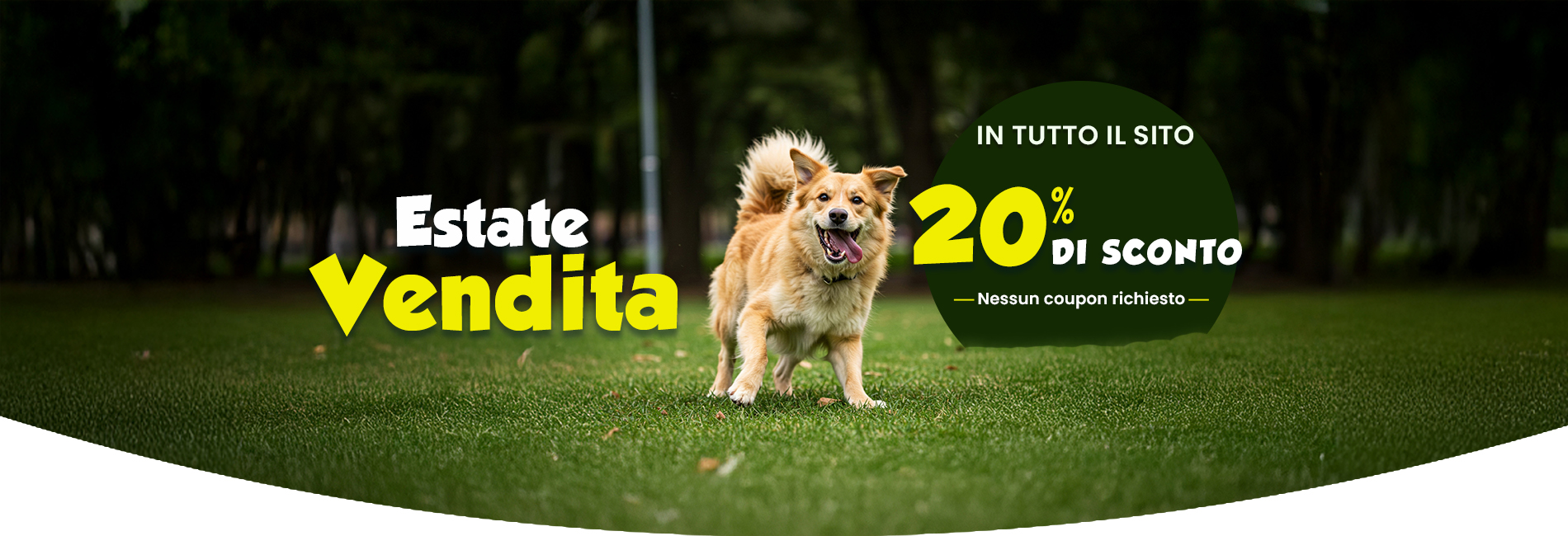 Sale Banner