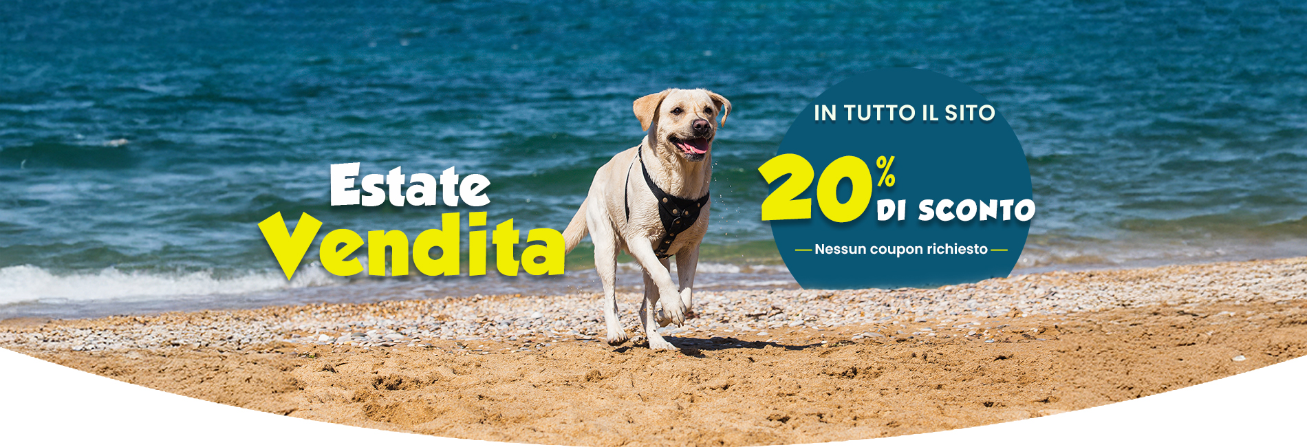 Sale Banner